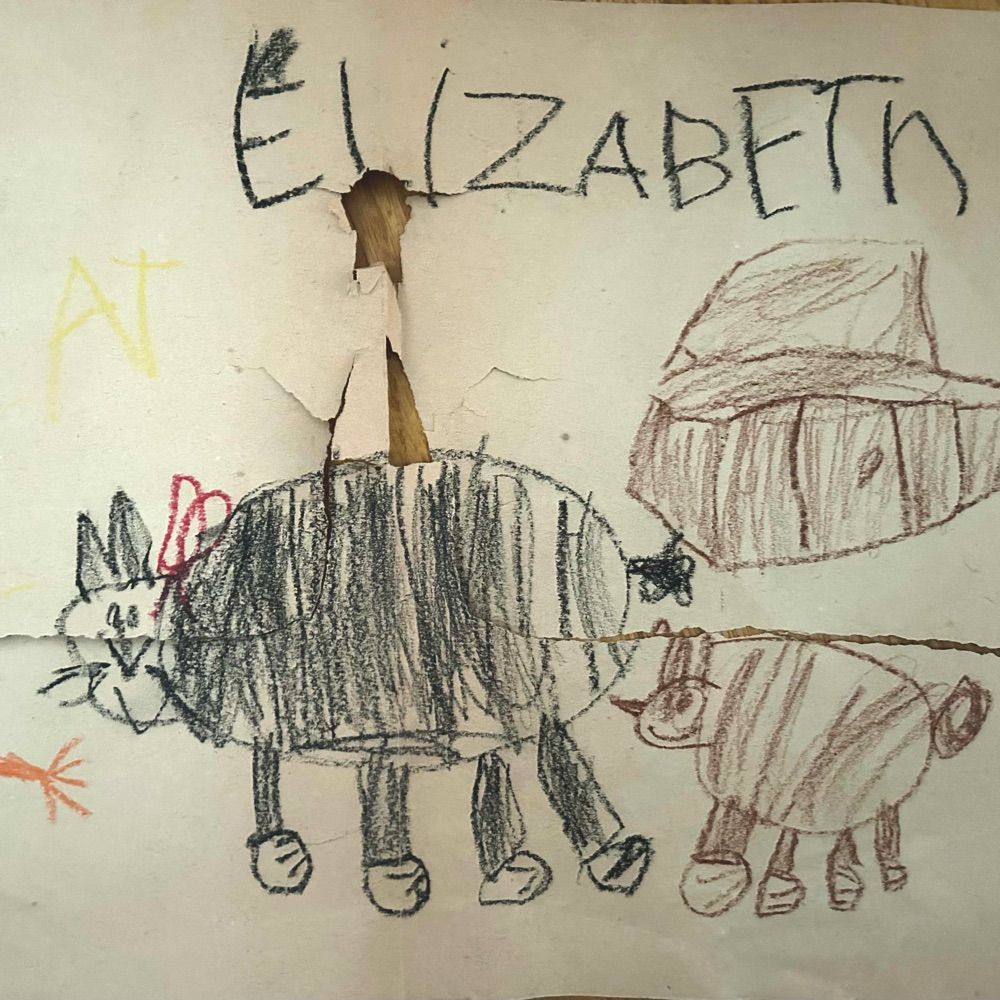 Liz Van Liz