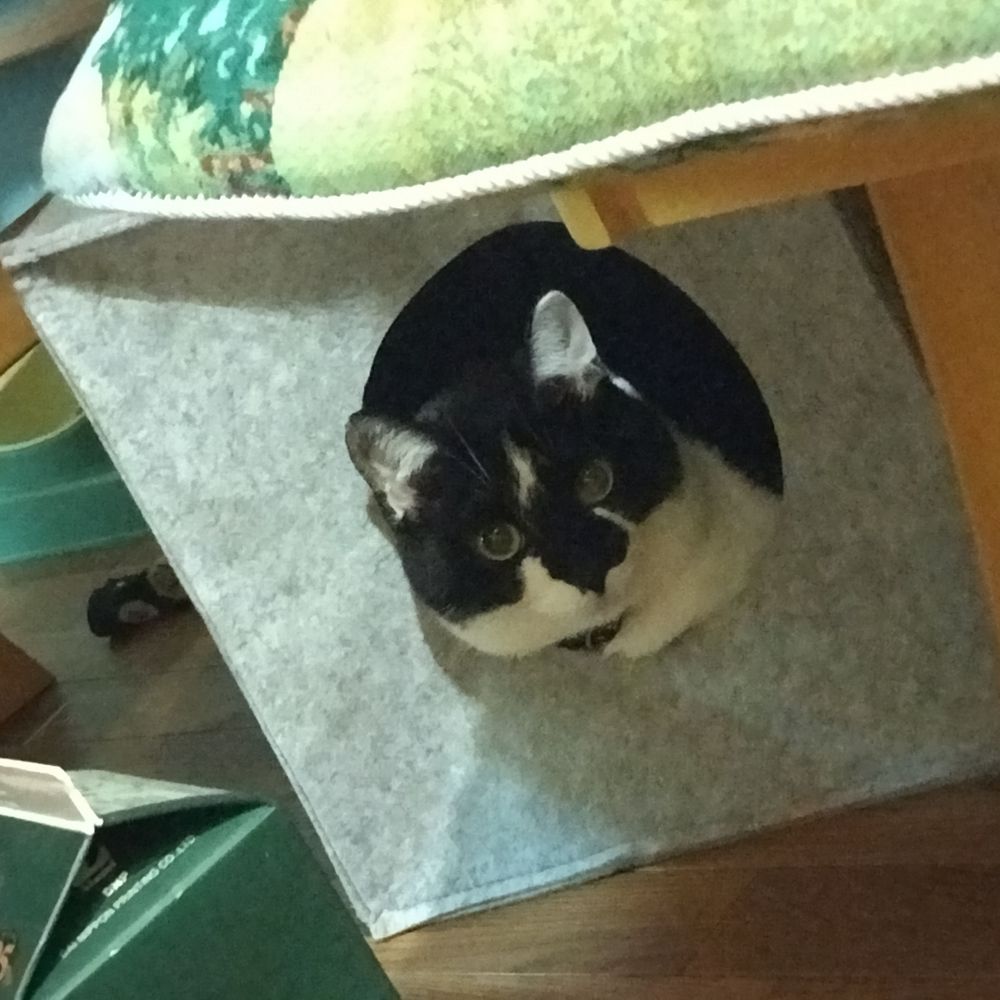 すかはち