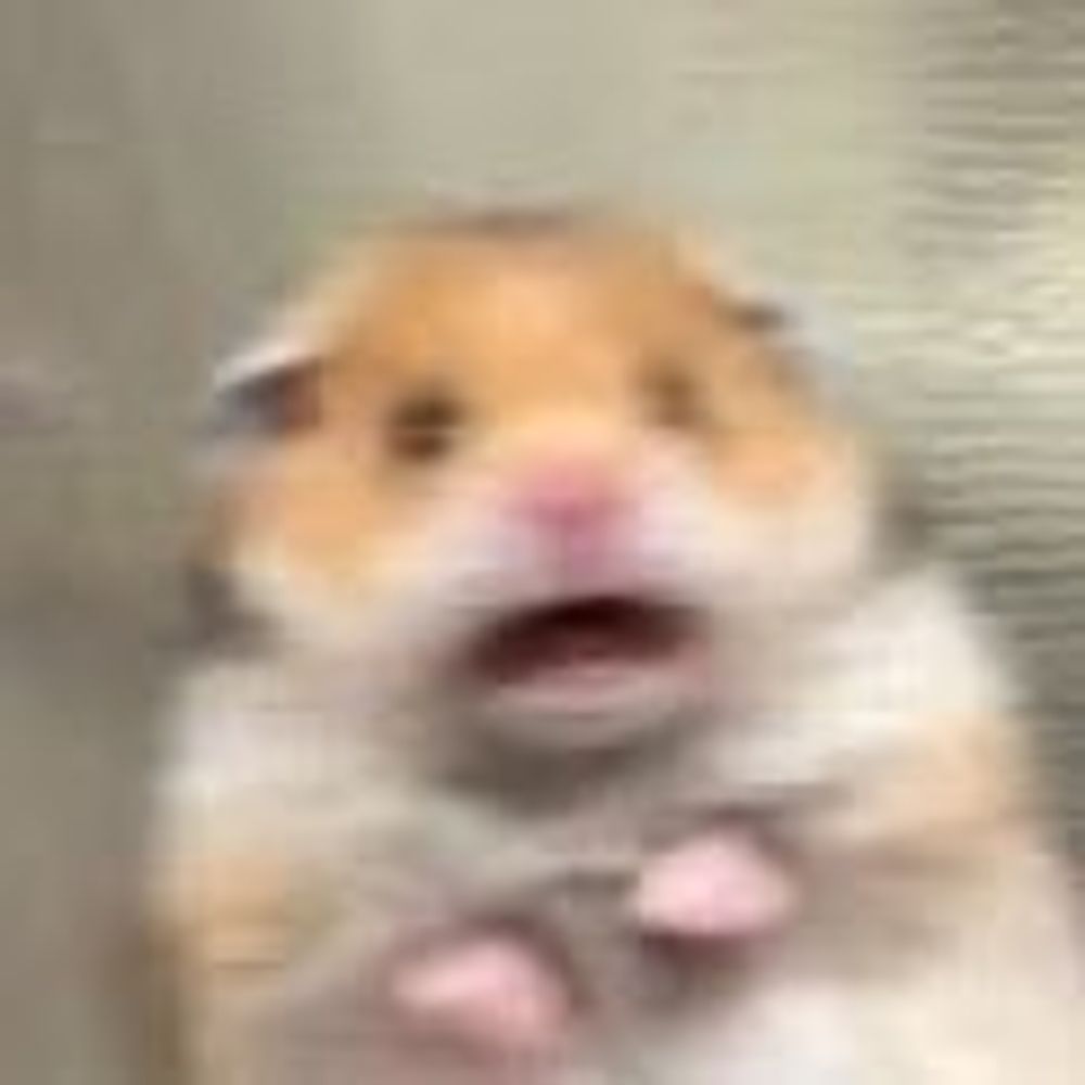 콕