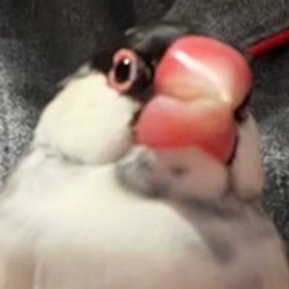 消燈