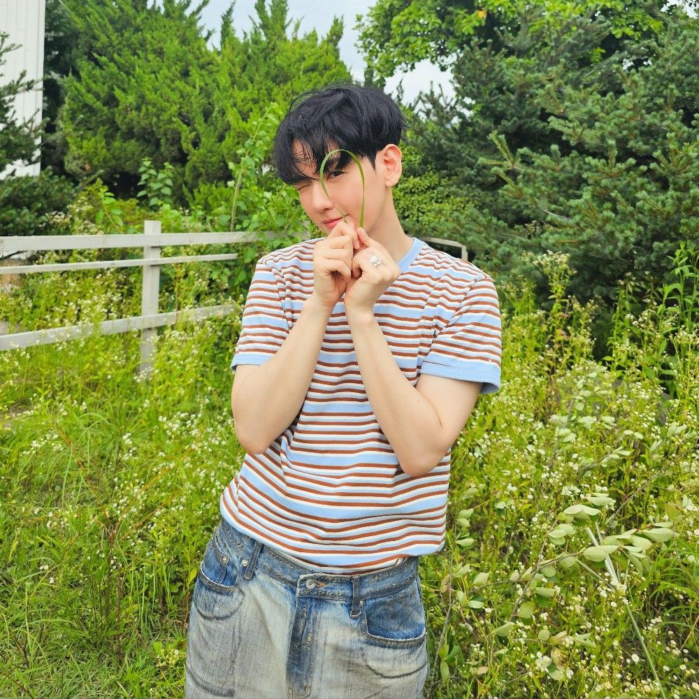Anan
