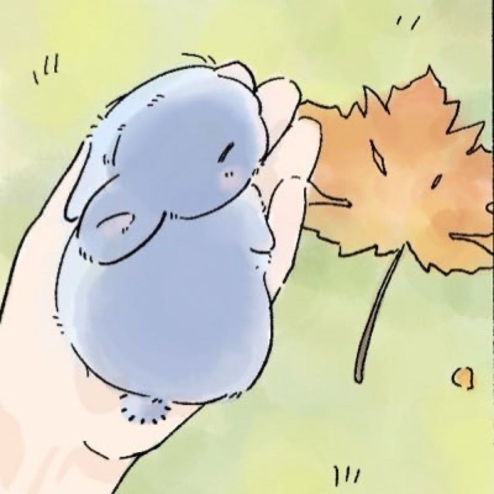 灯回