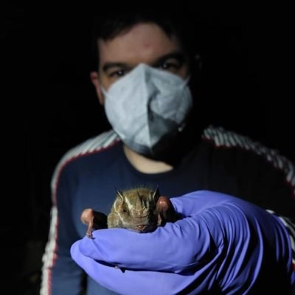 Dr Kieran O'Malley