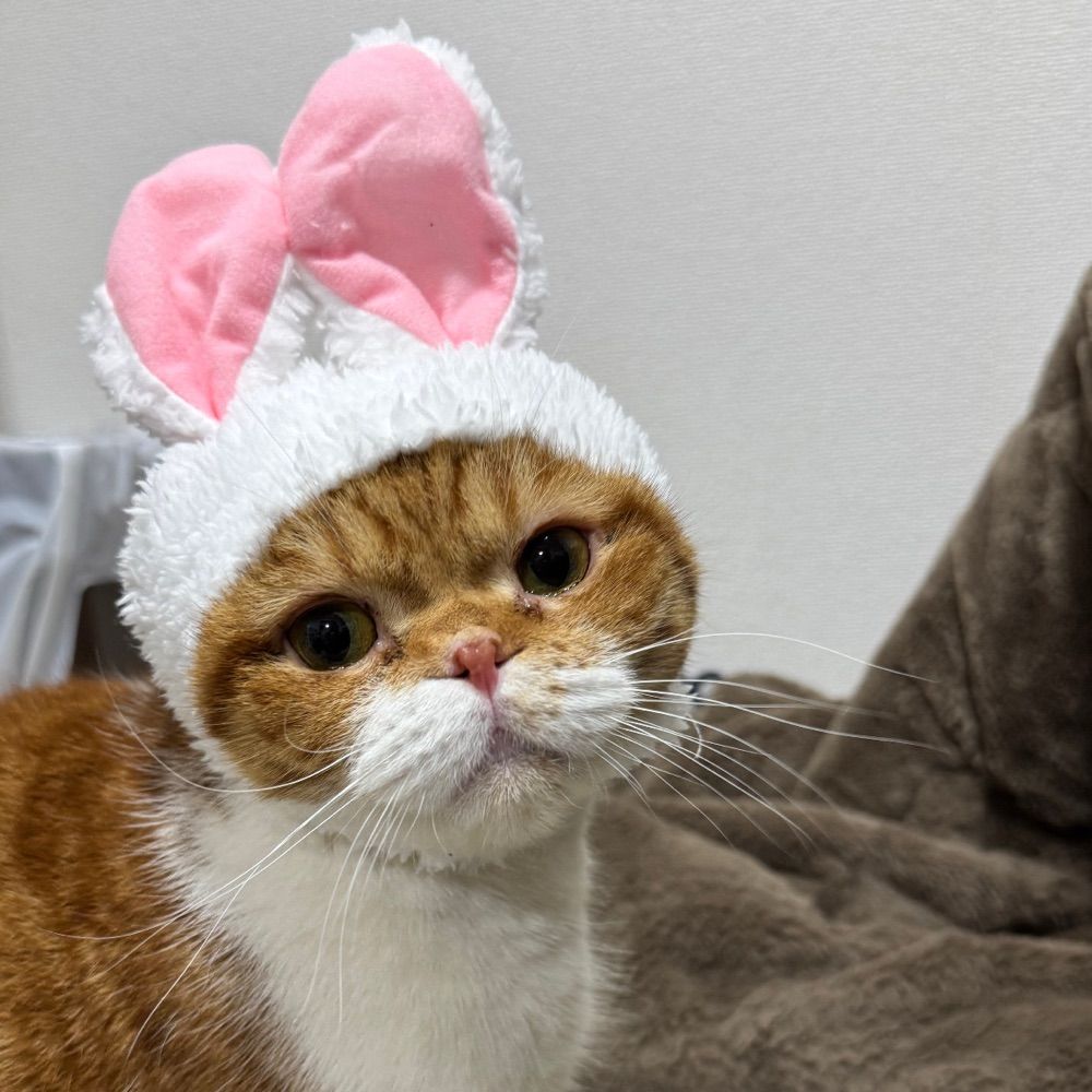 アイザック