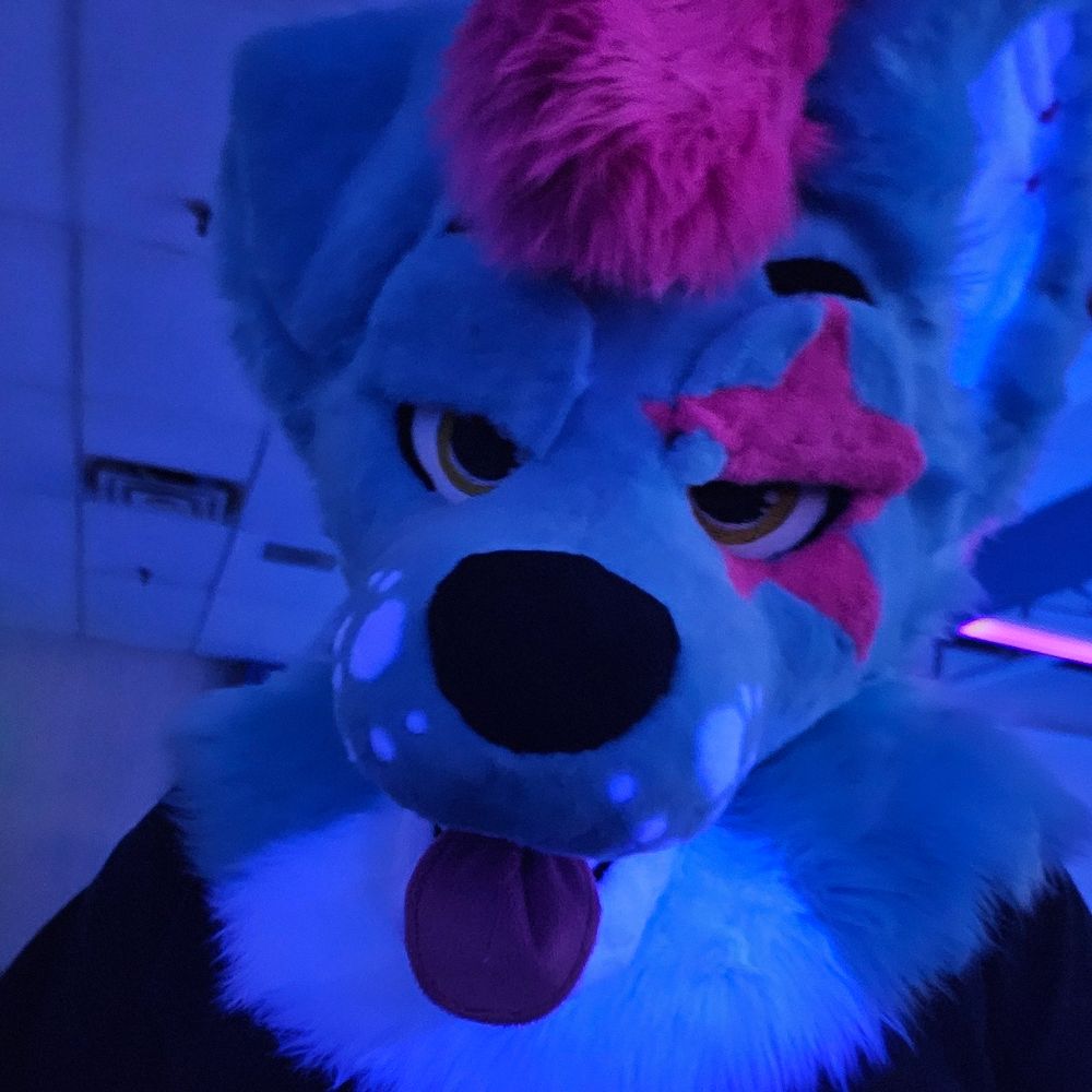 yeenafterbark.bsky.social