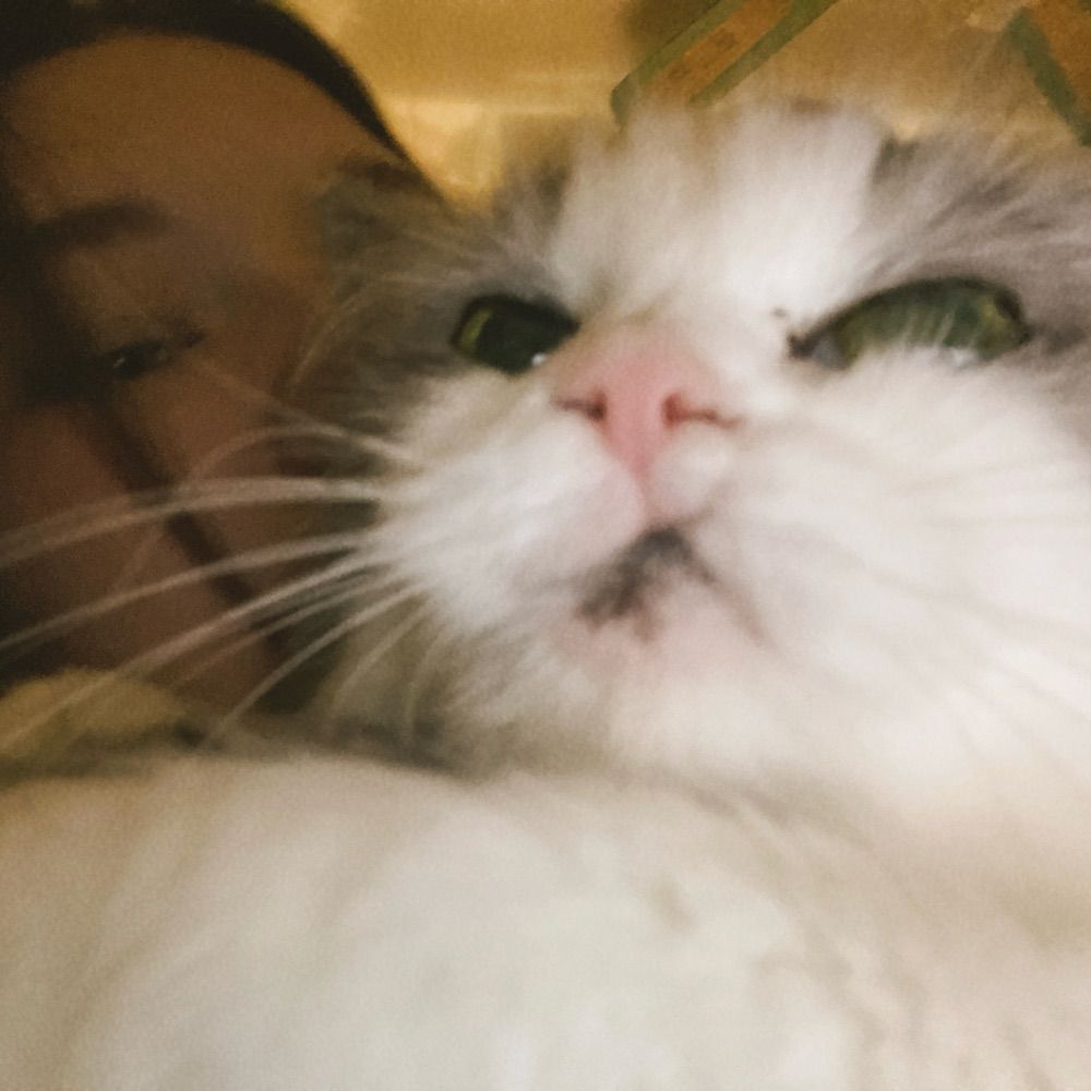 лизок:3