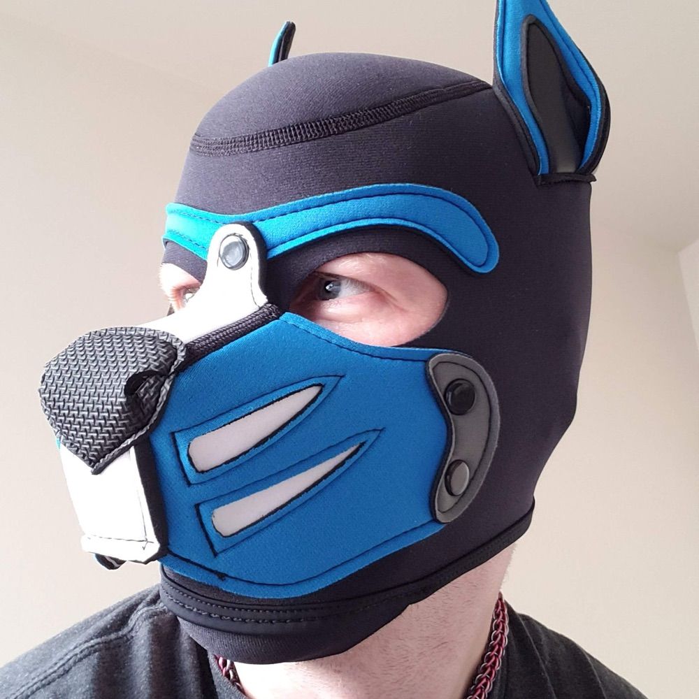 Pup Lil Bit