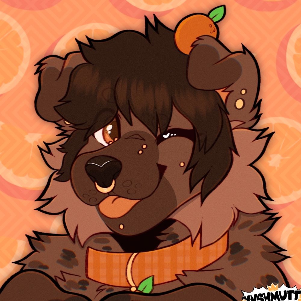 🍊Pippa!🍊