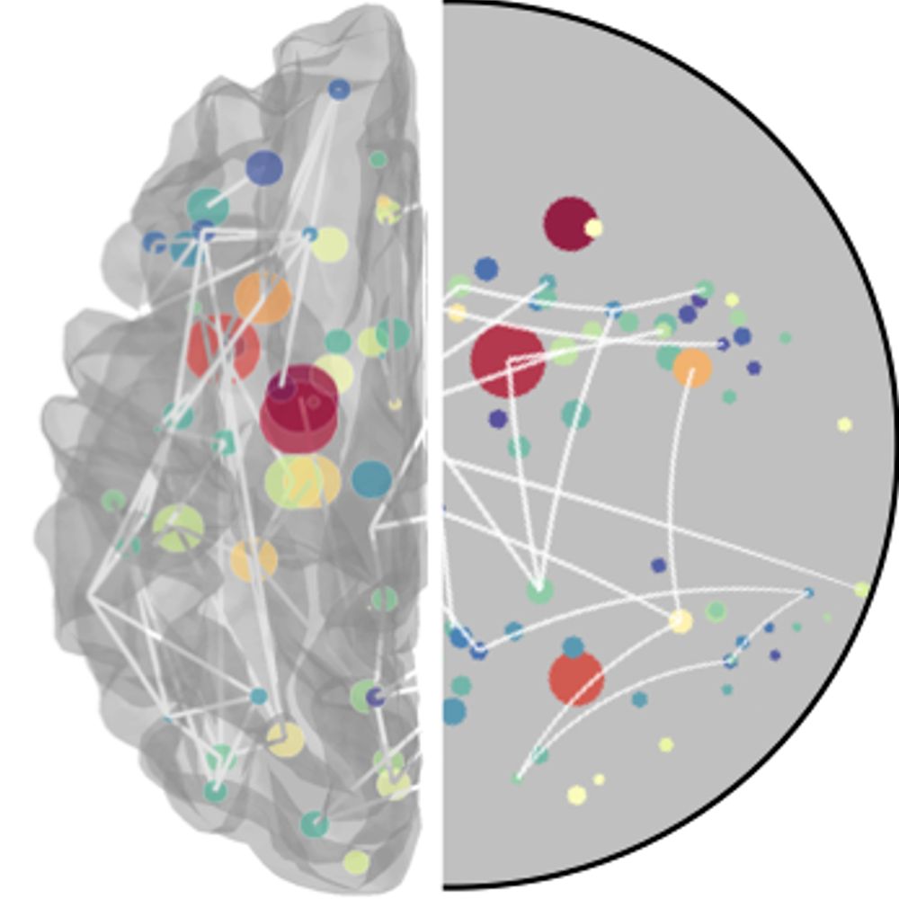 Neurodynamics Team, Paris