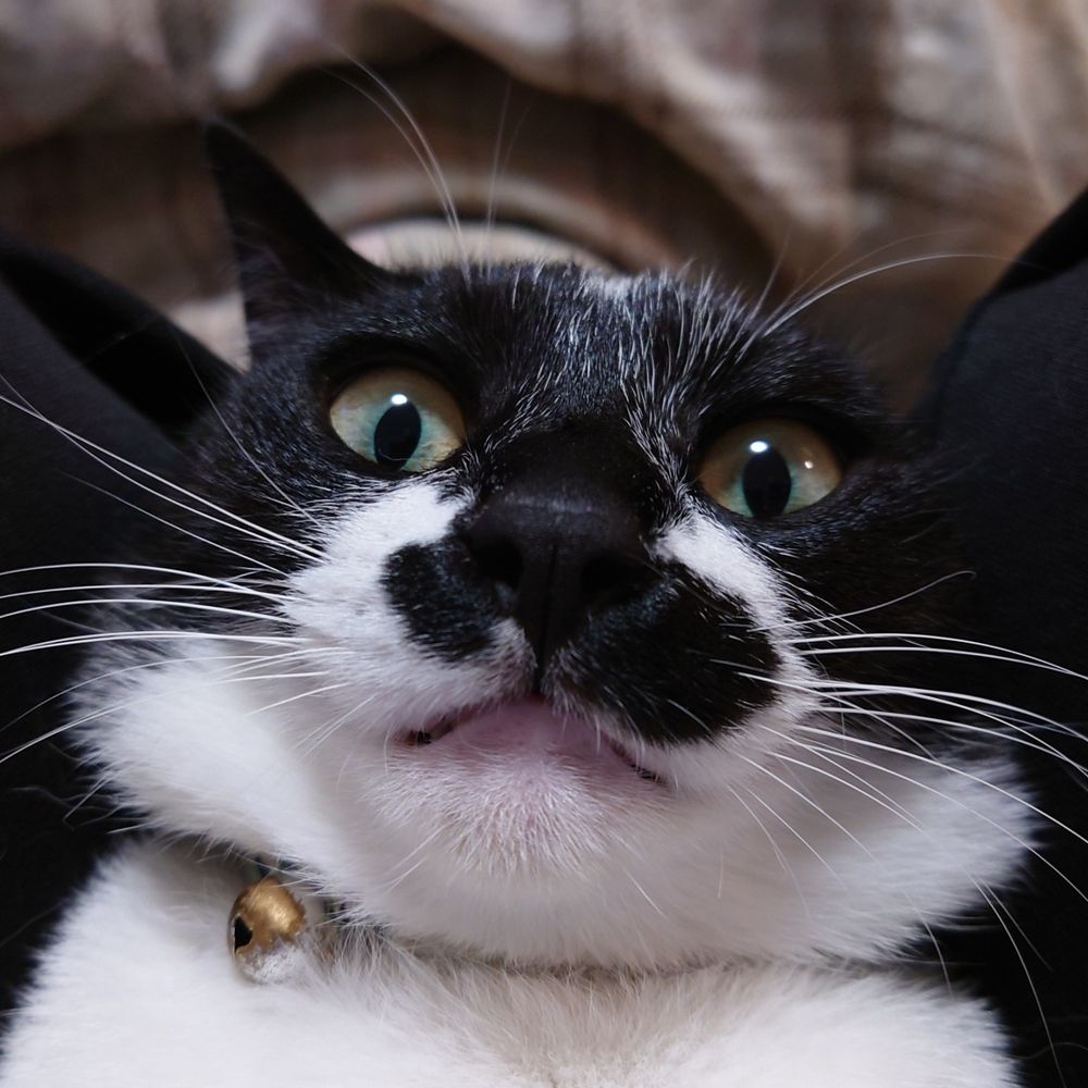 すず
