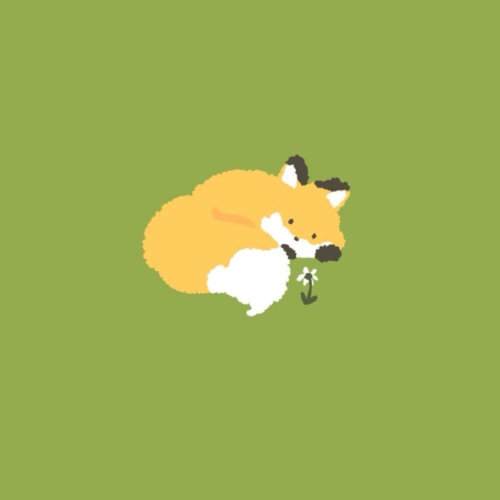 米 ‸ 狐