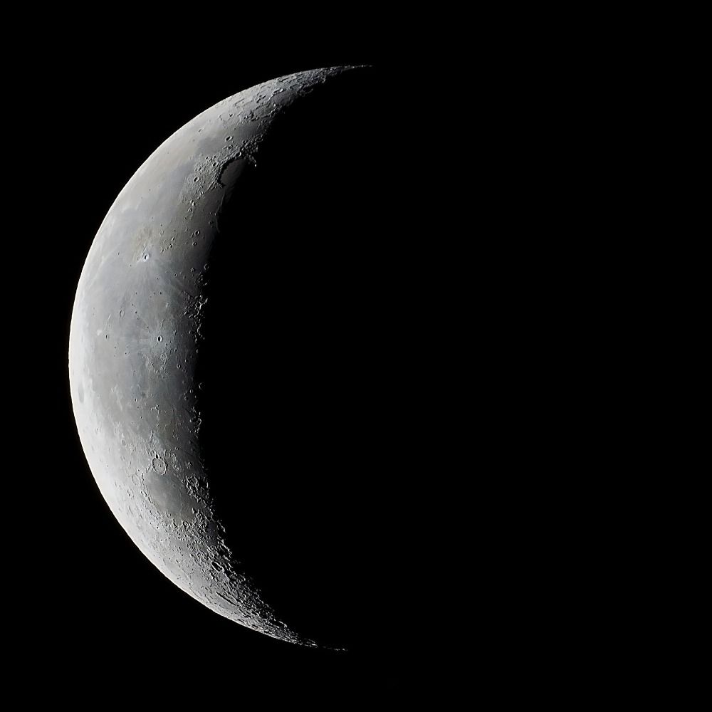 Lunar Bot