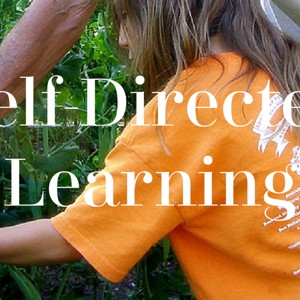Self-Directed Learning