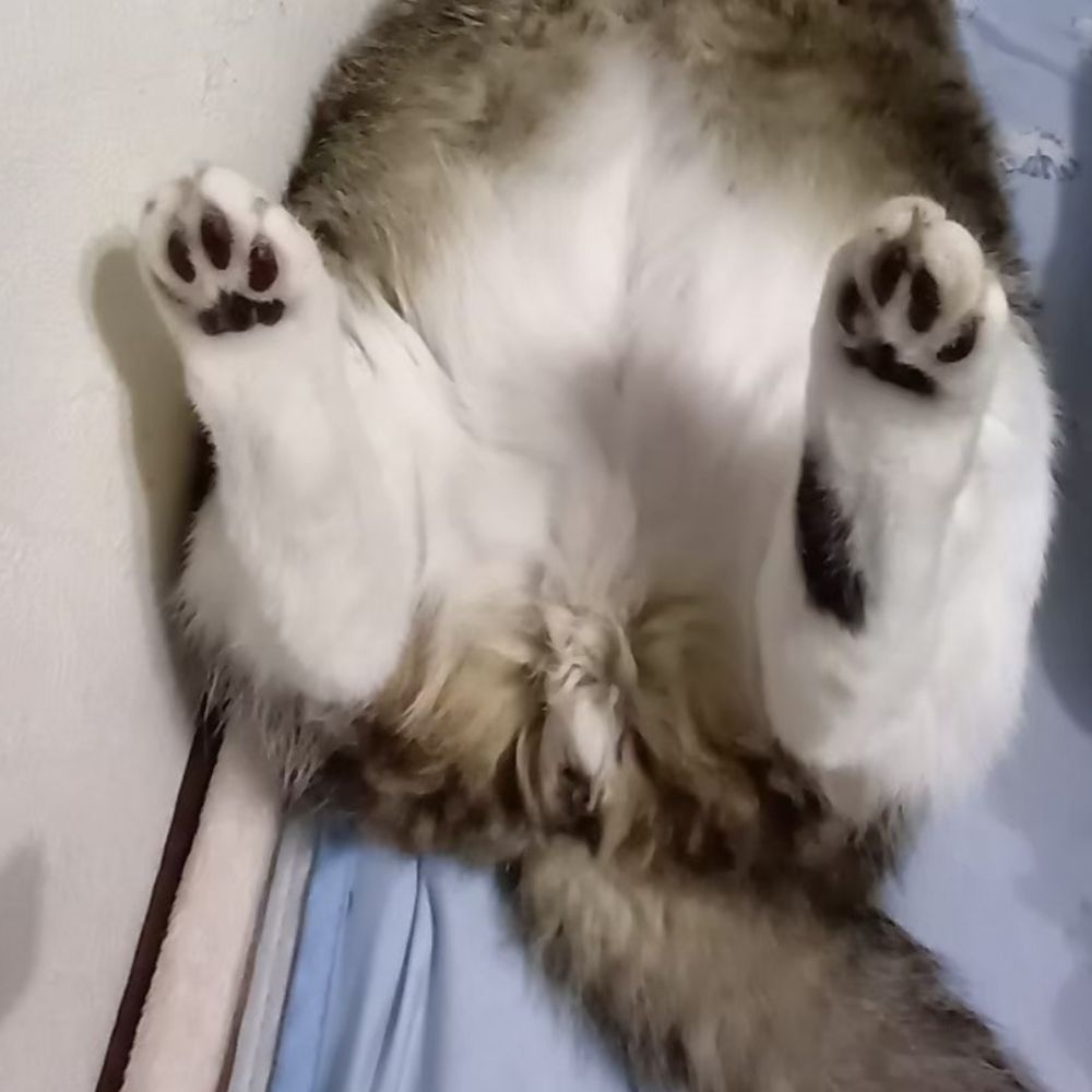 アトロック