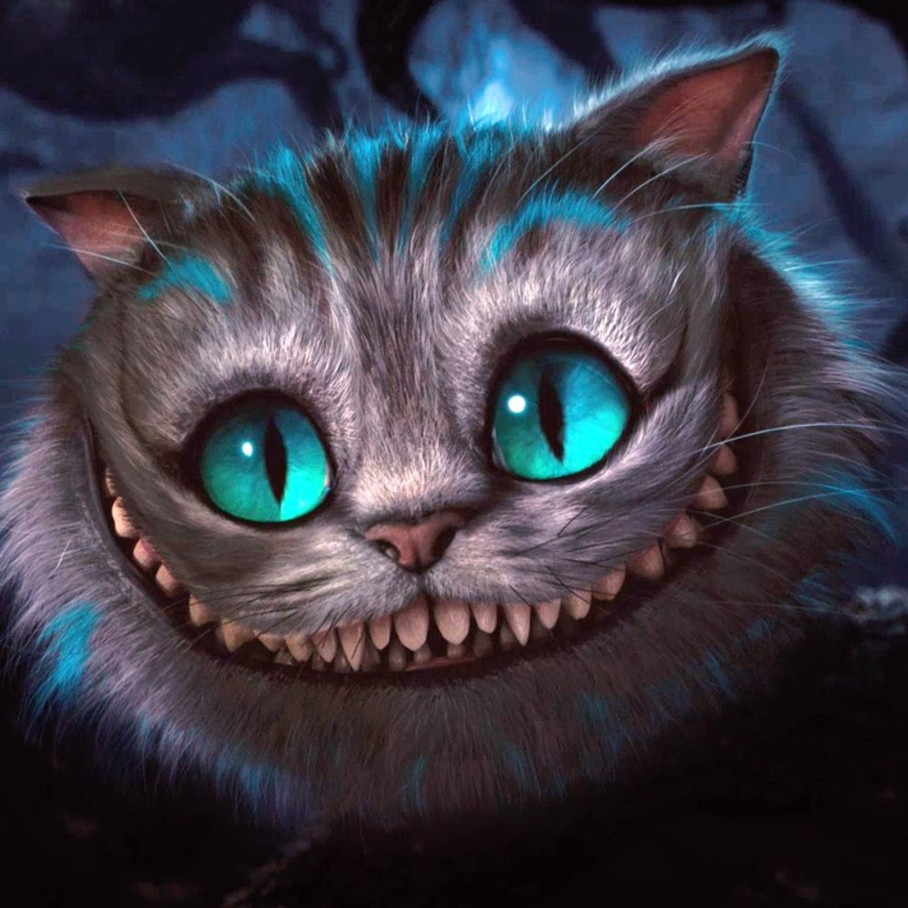 Cat's avatar