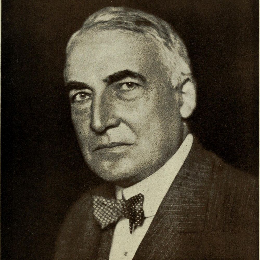 Totally Immune President Warren G. Harding 's avatar