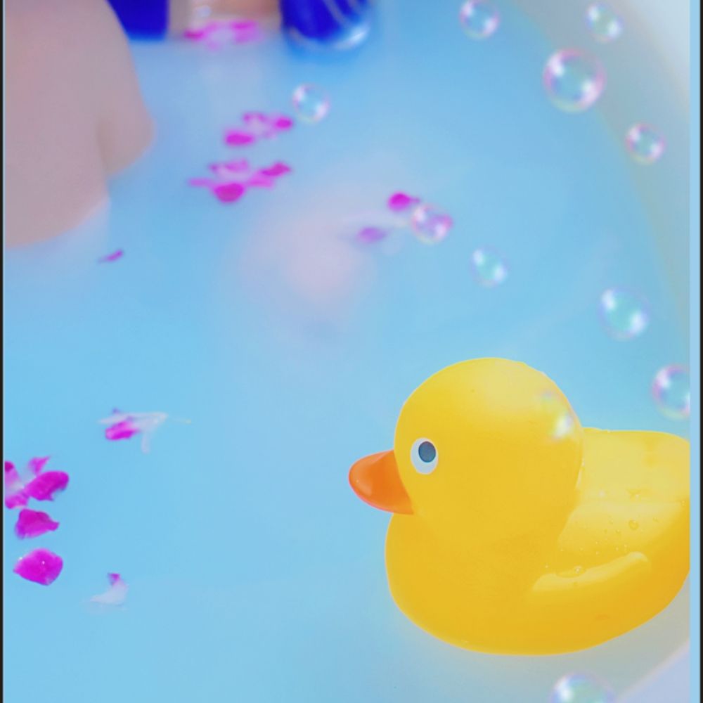 :(´◦ω◦｀):