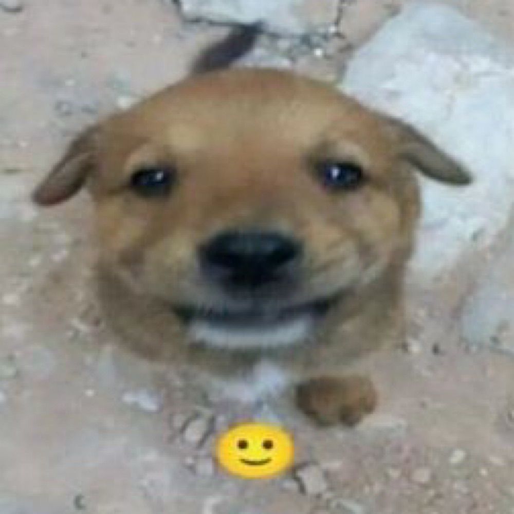 ‎ 