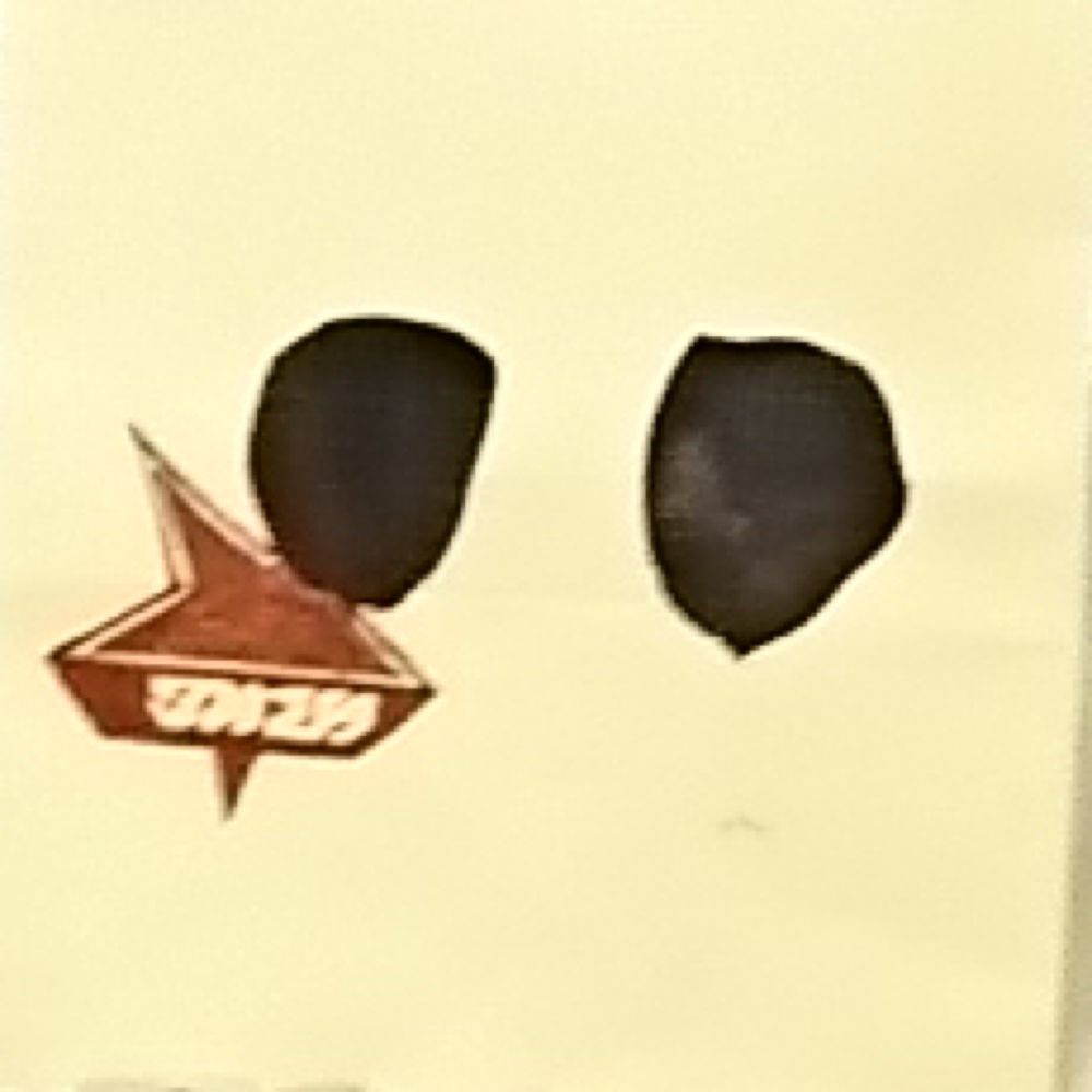 真猿