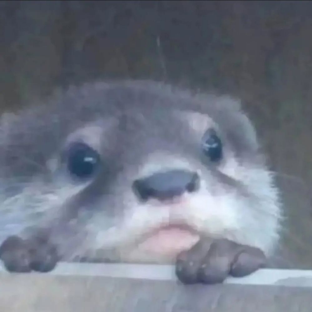 Horny otter