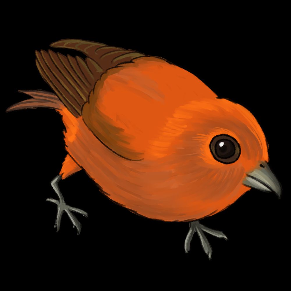 Niv, but it's fluff