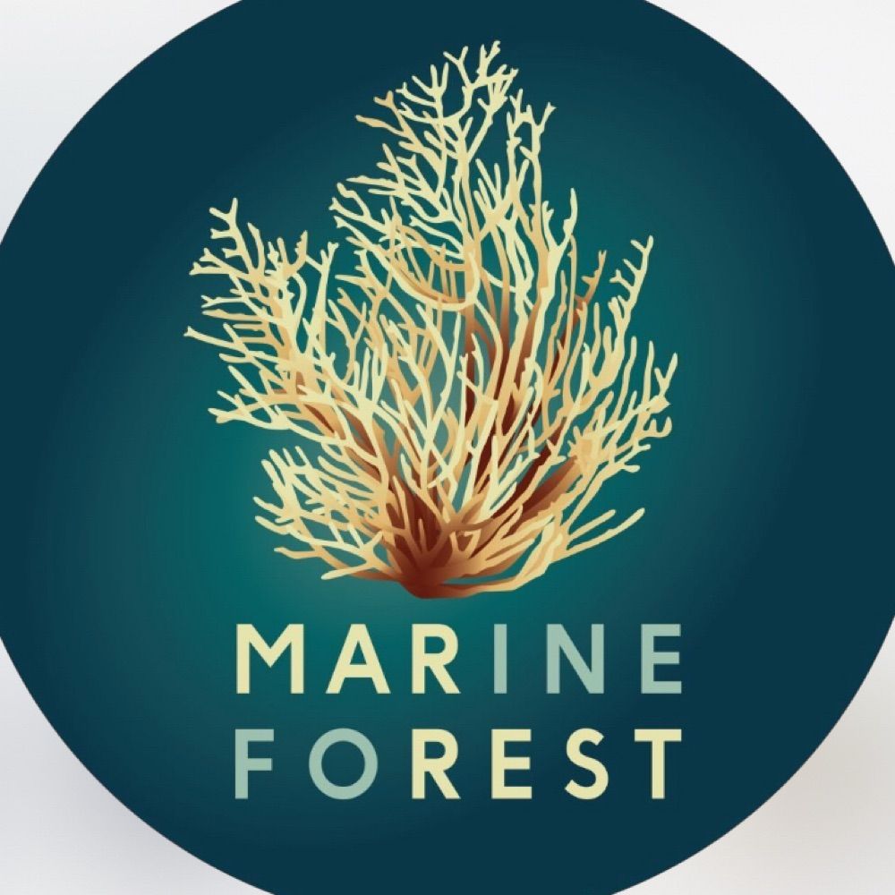 Marine Forest