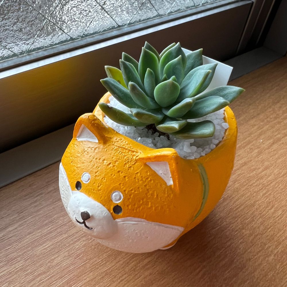 ろさ
