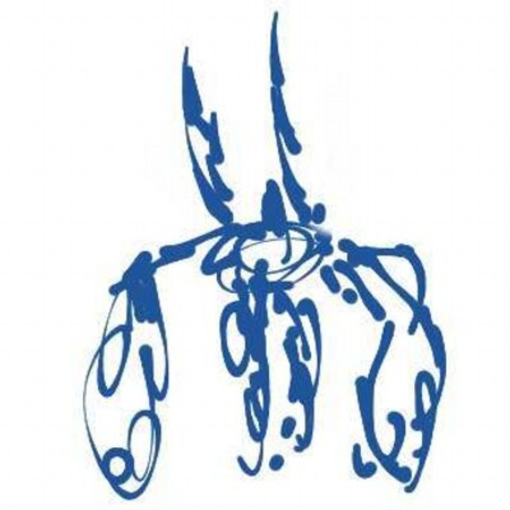 syocy