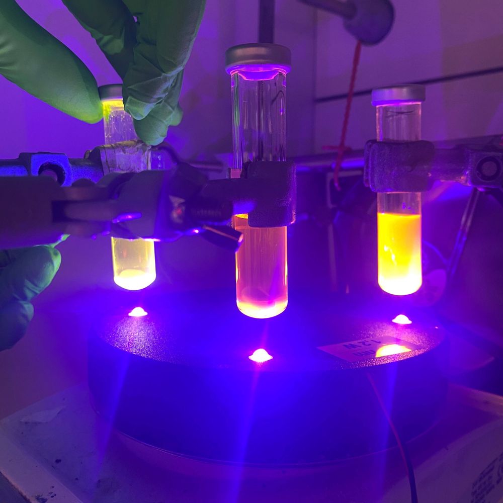 Molloy Lab 