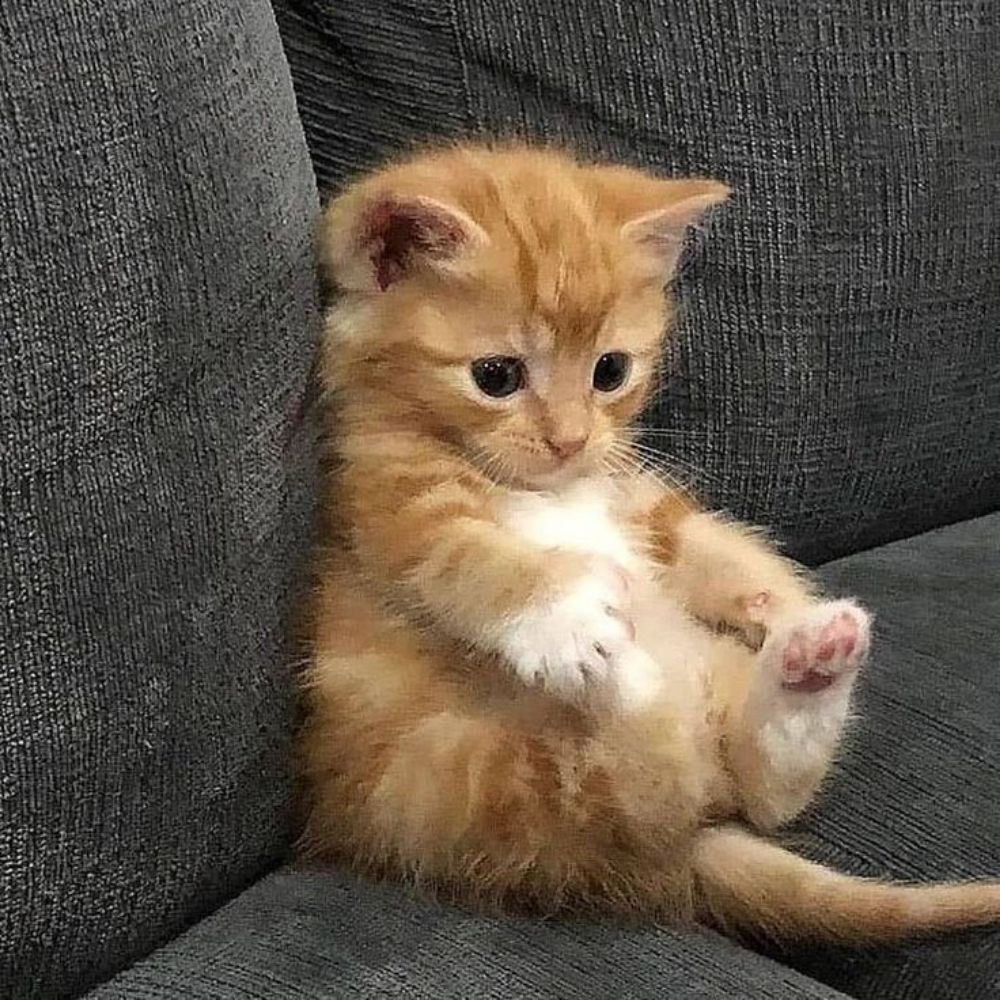 :)