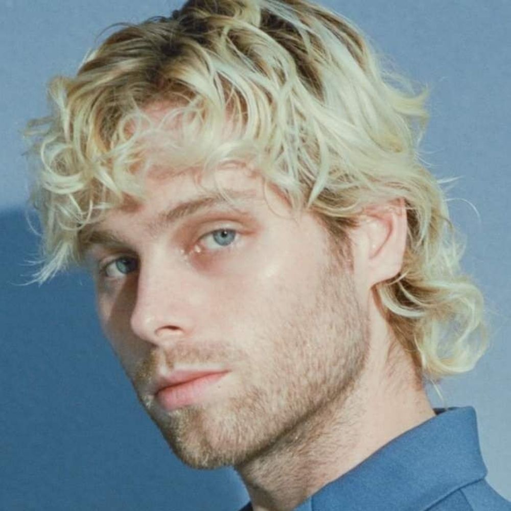 acervo luke hemmings 