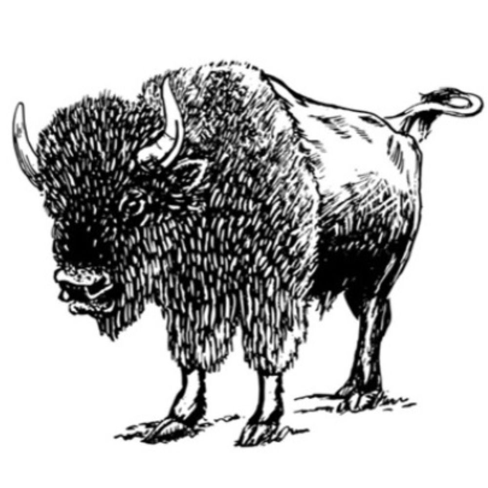 BuffaloResearch.com's avatar