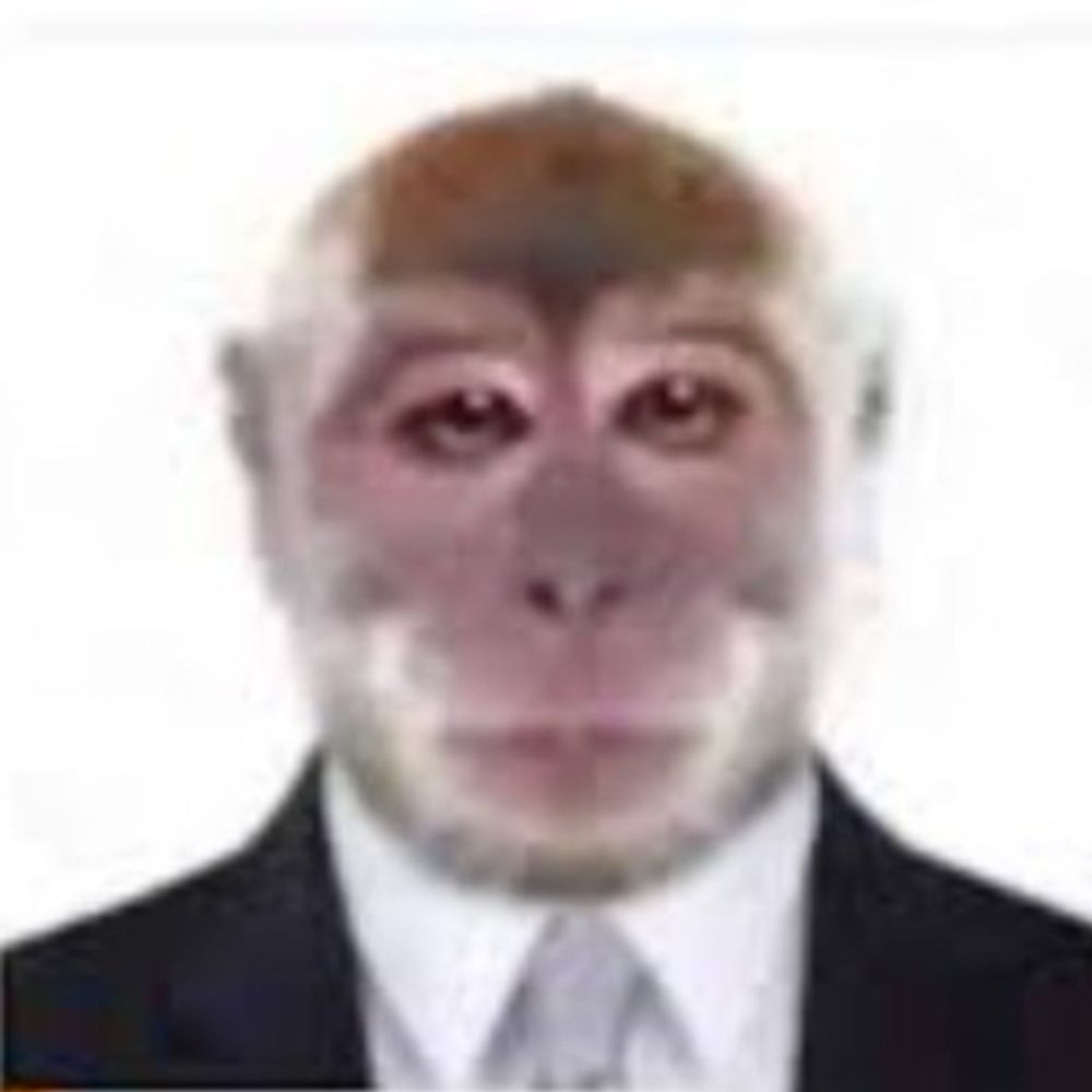Manzana head