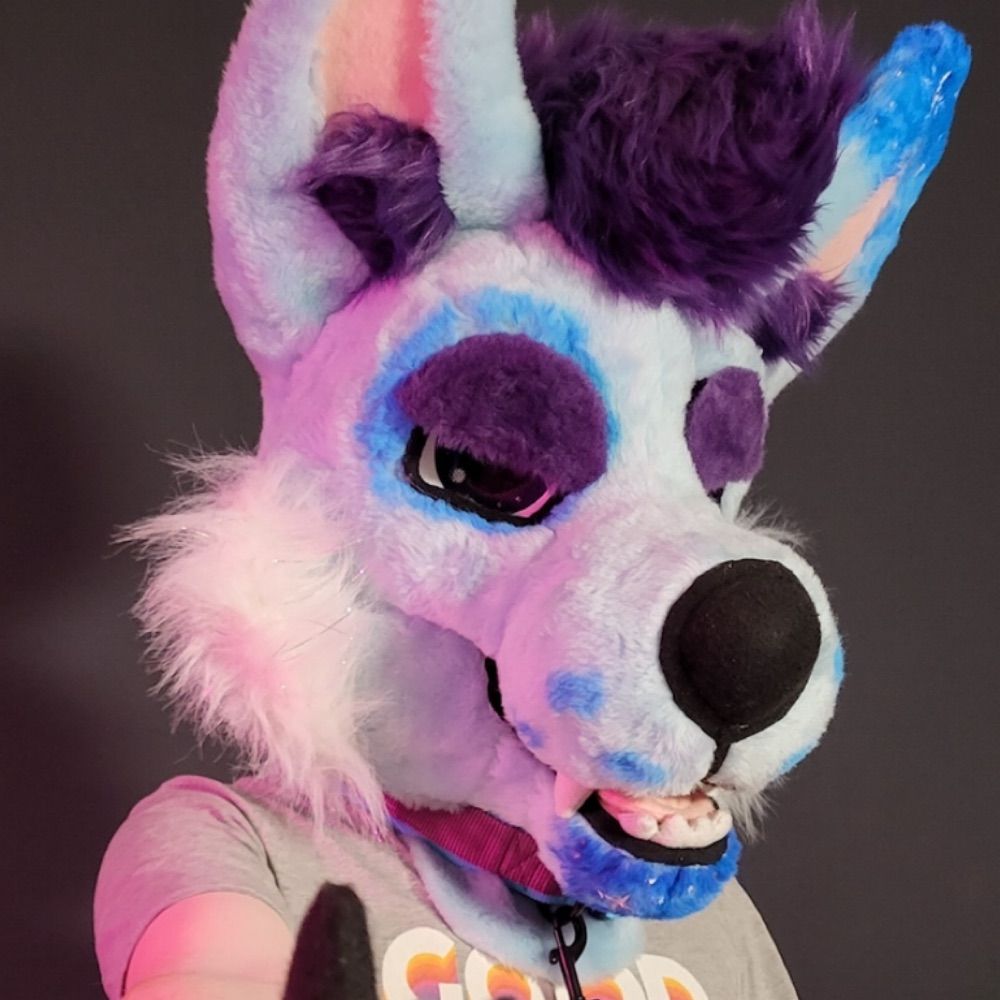 Omg Wolf