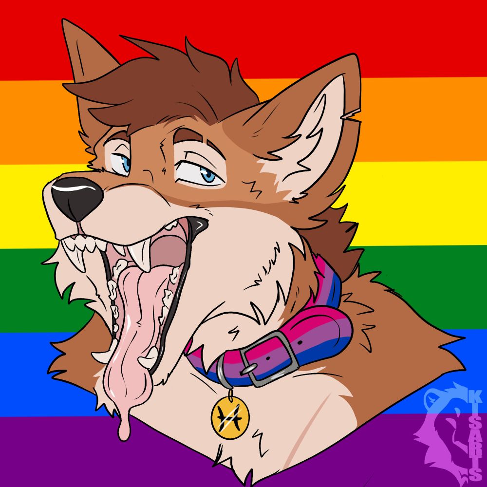 Cain the Dingo