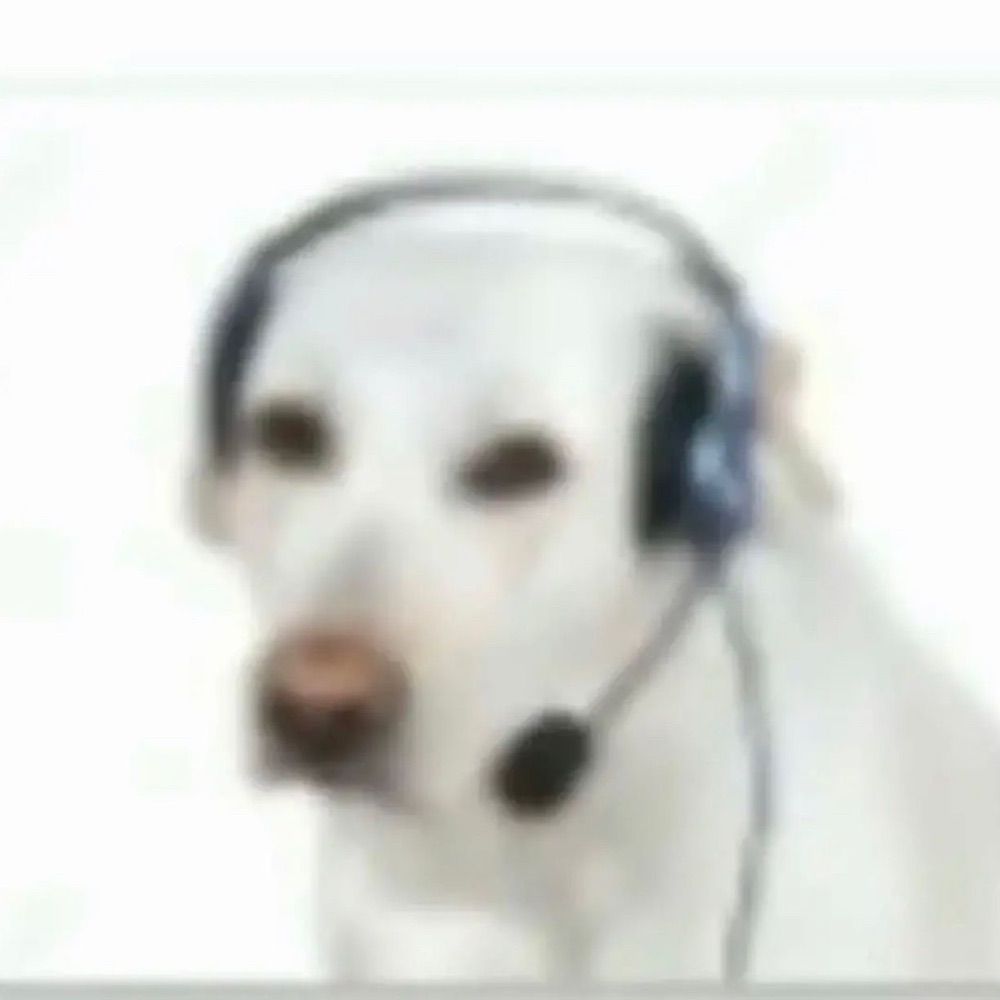 Pedro