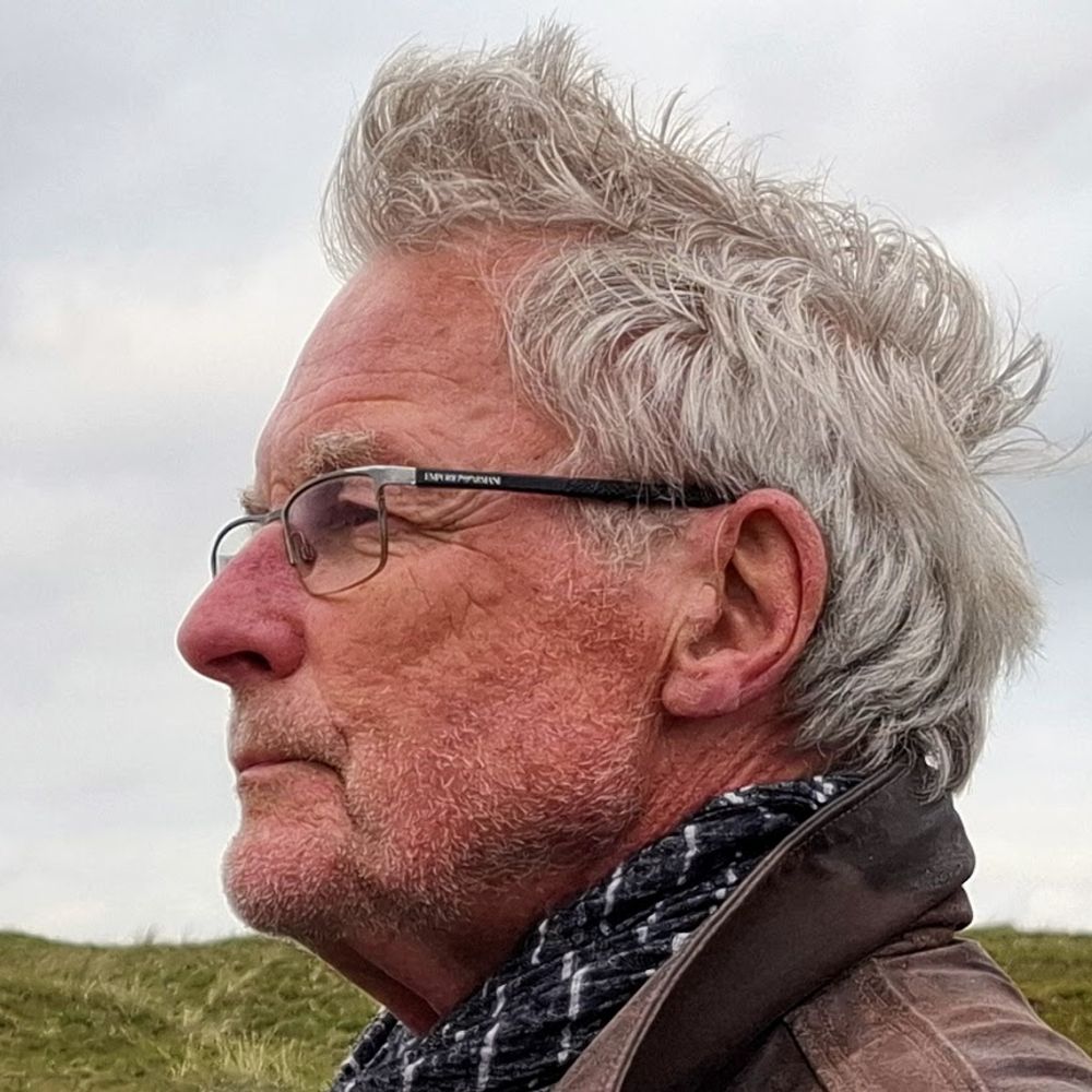 Henk de Vos
