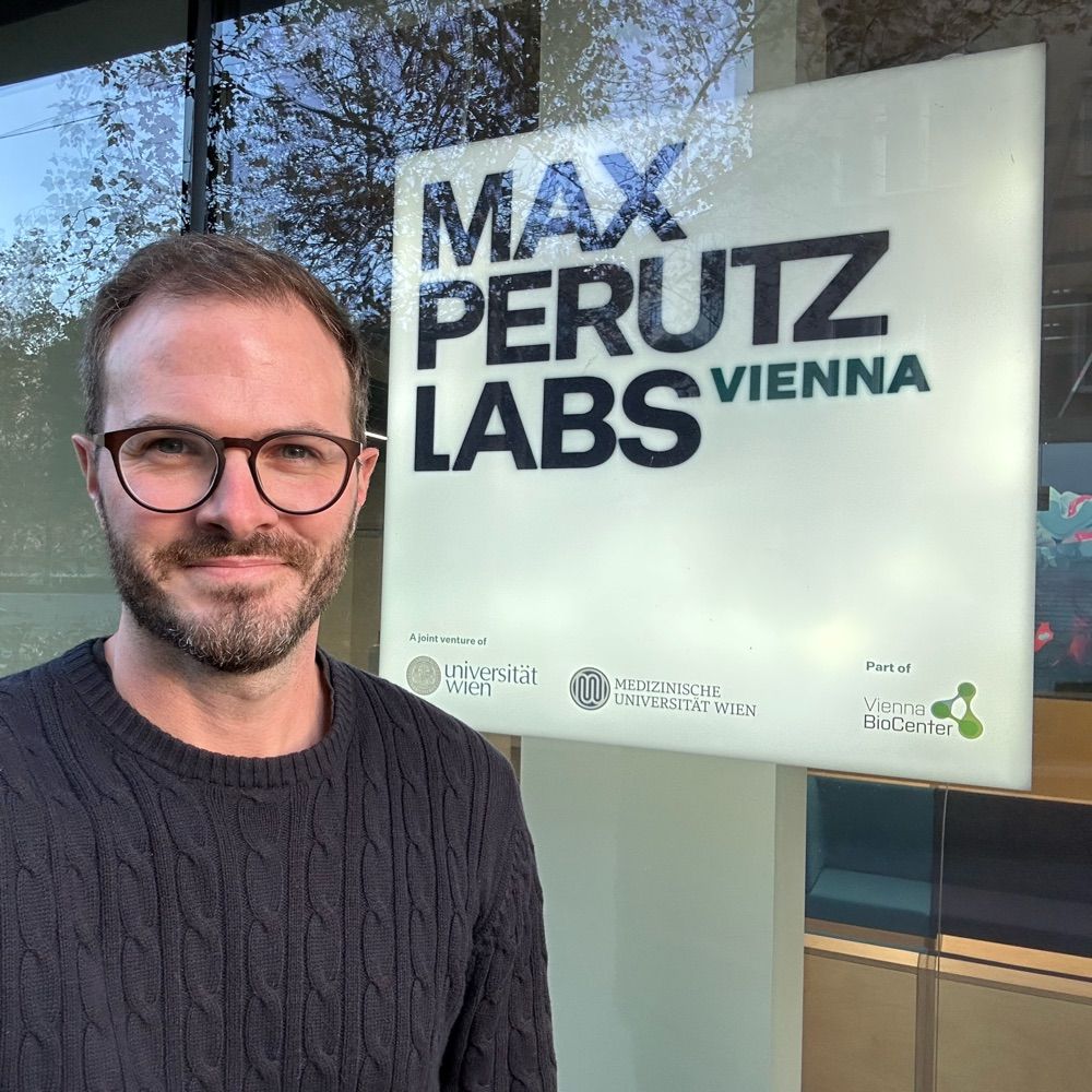 Hein Lab