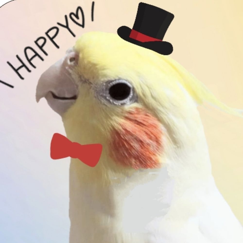 むむこ