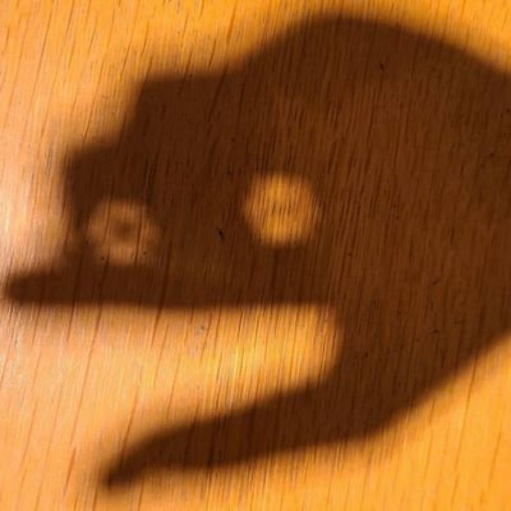 ギャップレ