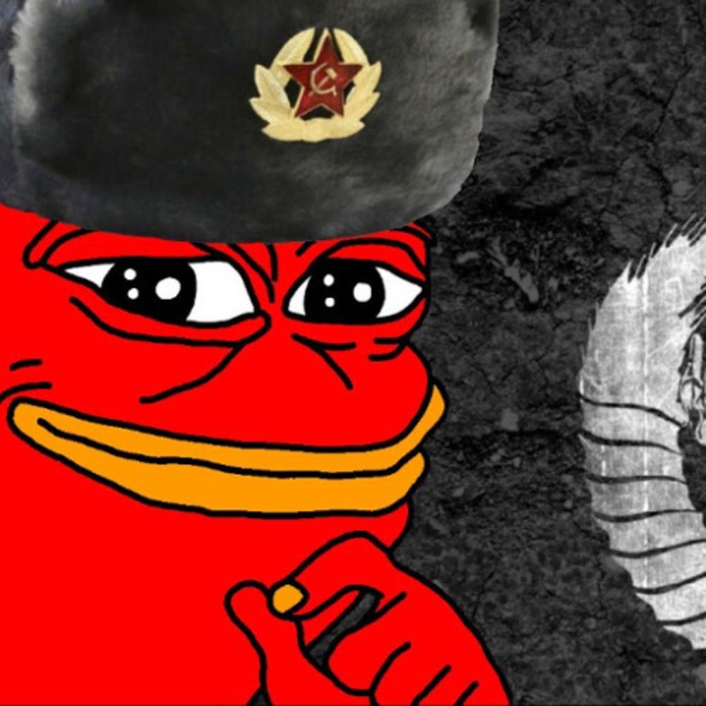 Leftist Chaos Simp