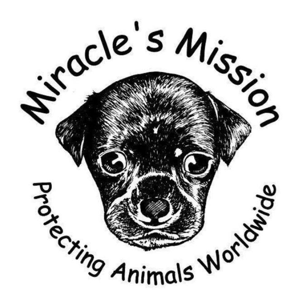 Miracle's Mission - UK Charity Reg 1166106