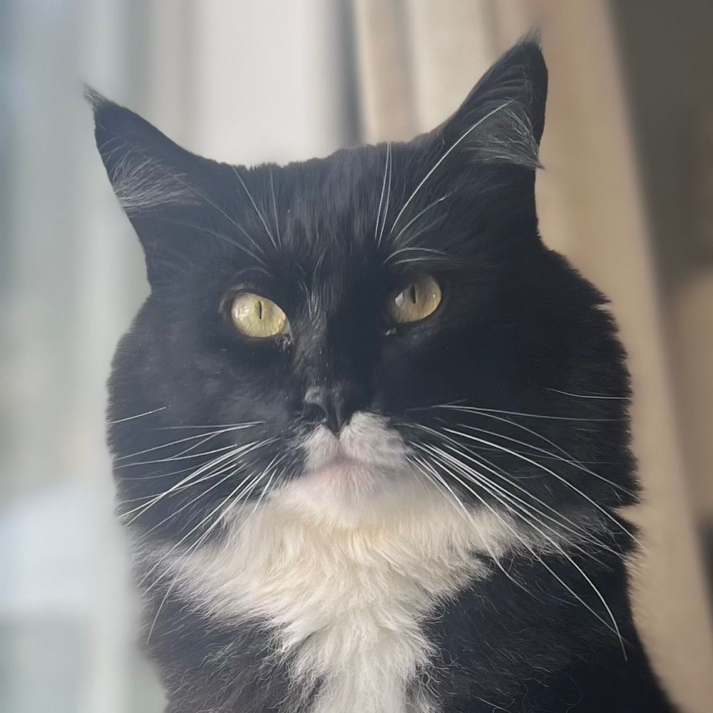 Diego