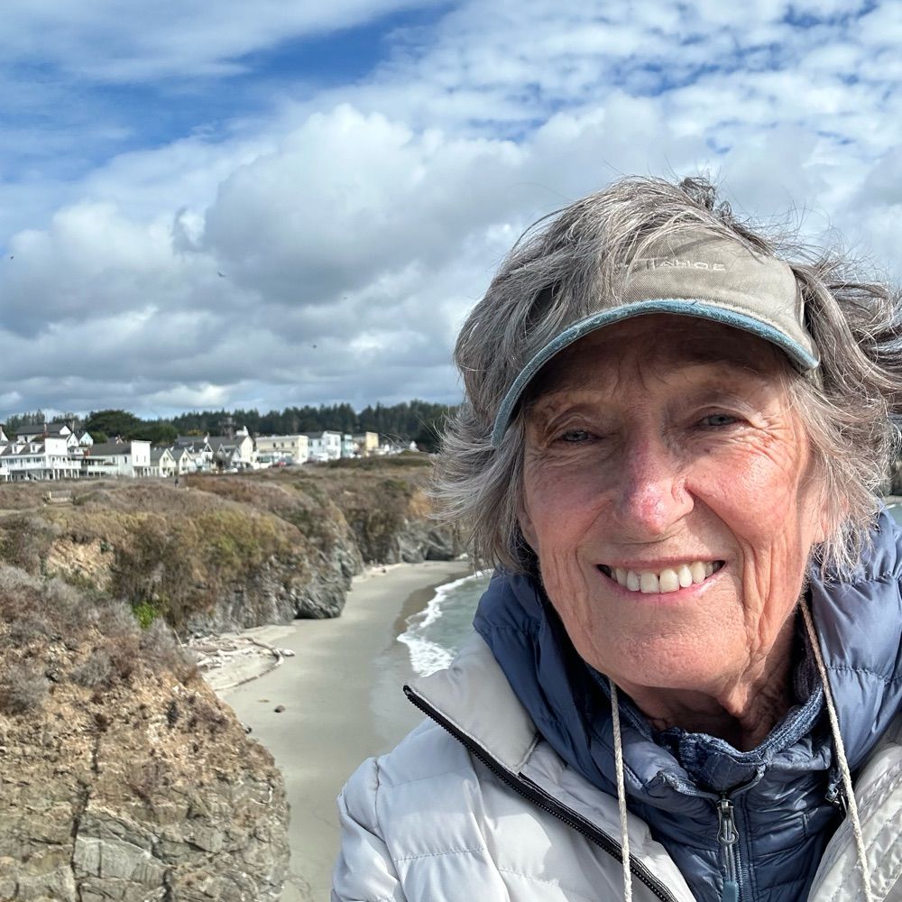 Sue Boddy