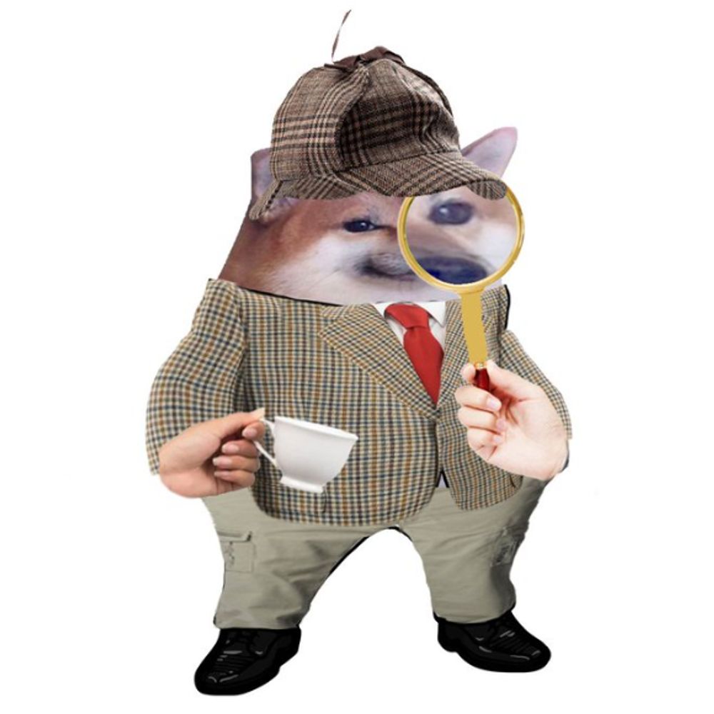 Profile avatar