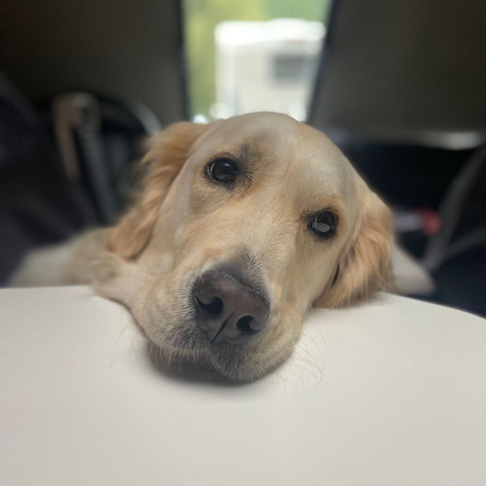 Wilbur