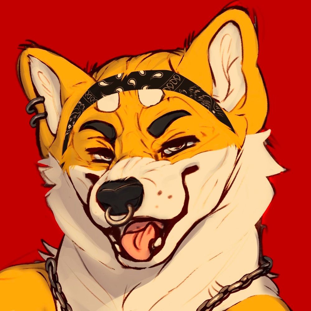 FERAL ➡️ AC