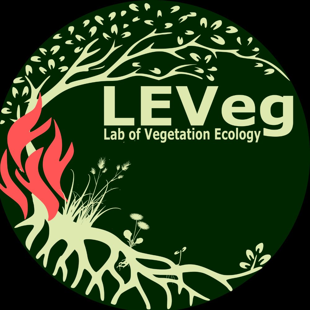 Laboratory of Vegetation Ecology (LEVeg) 🌾