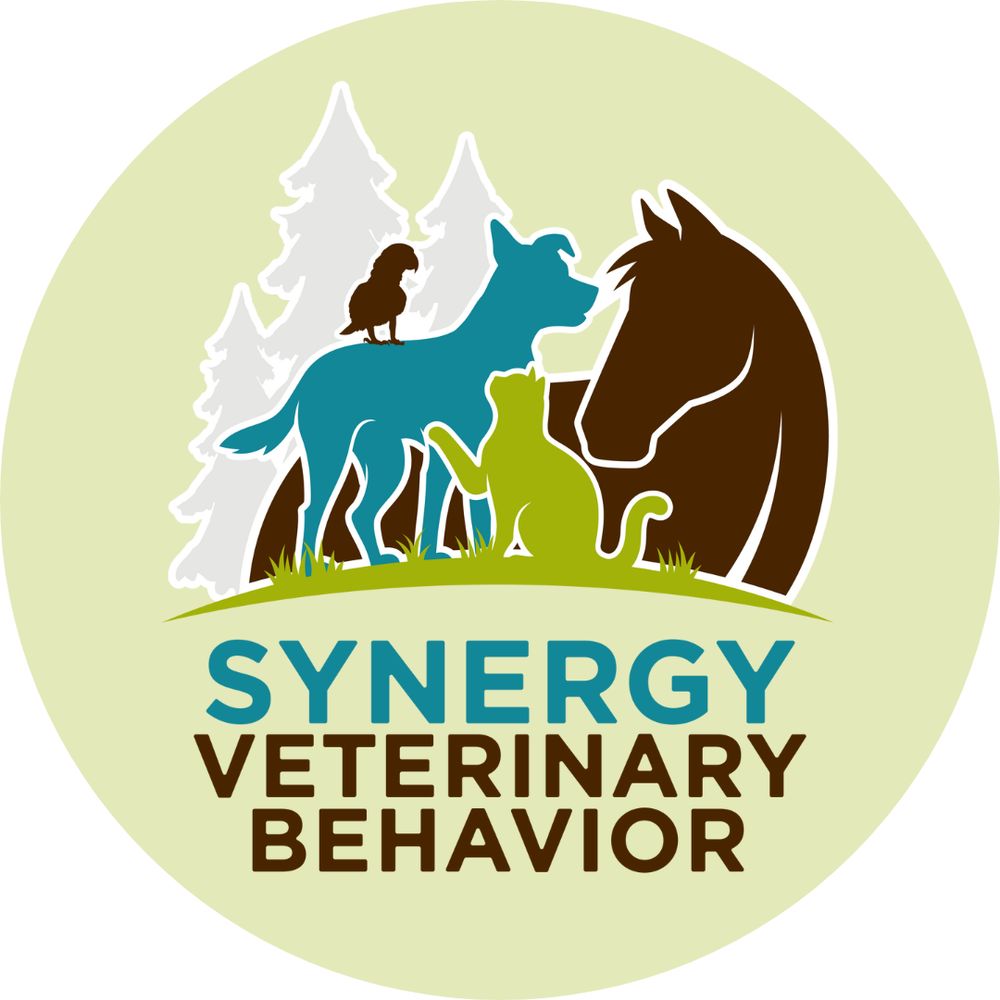 Synergy Veterinary Behavior
