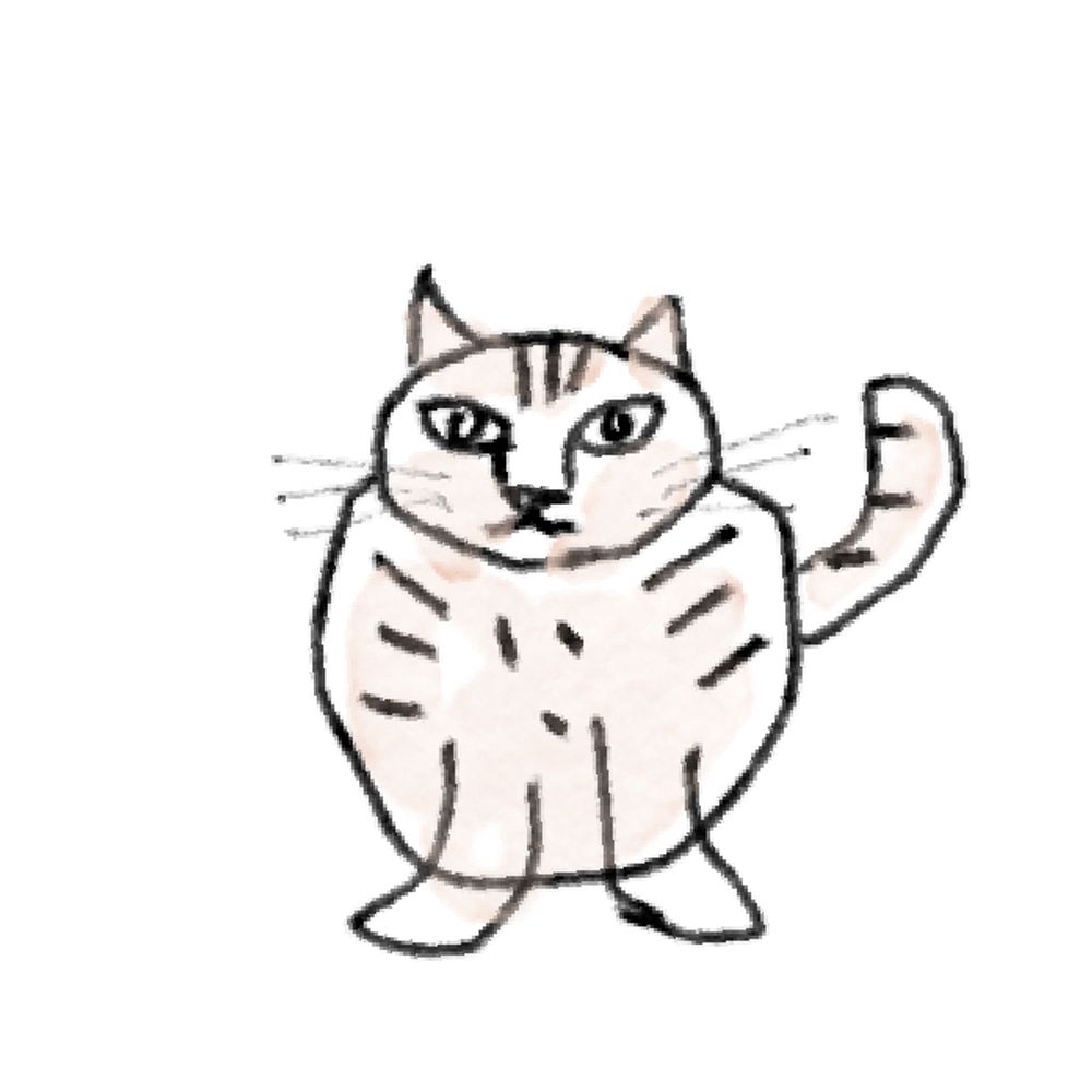 Tomoco